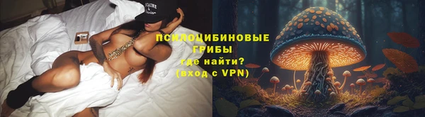 PSILOCYBIN Алексеевка