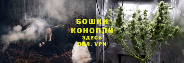 PSILOCYBIN Алексеевка