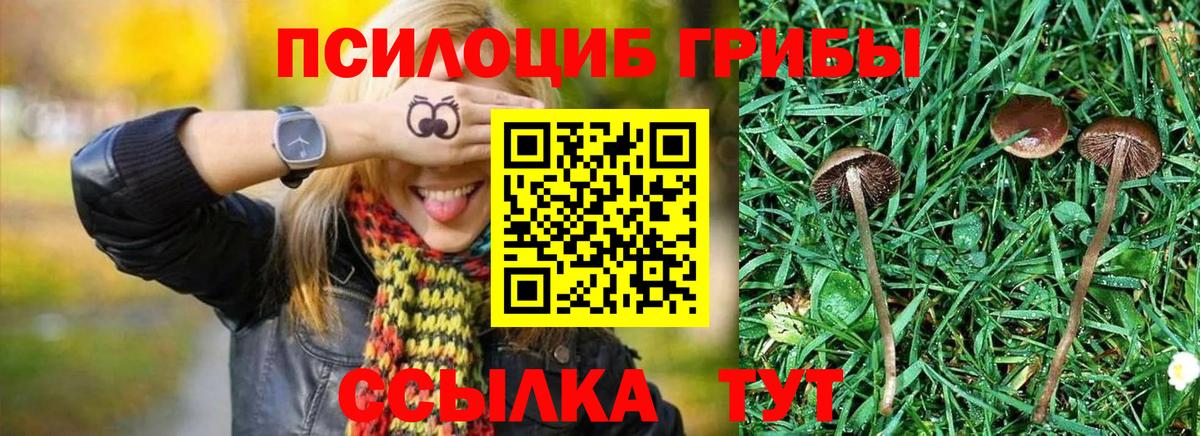 Псилоцибиновые грибы мухоморы Волжский